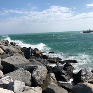 Meet your Posher, Sylvia